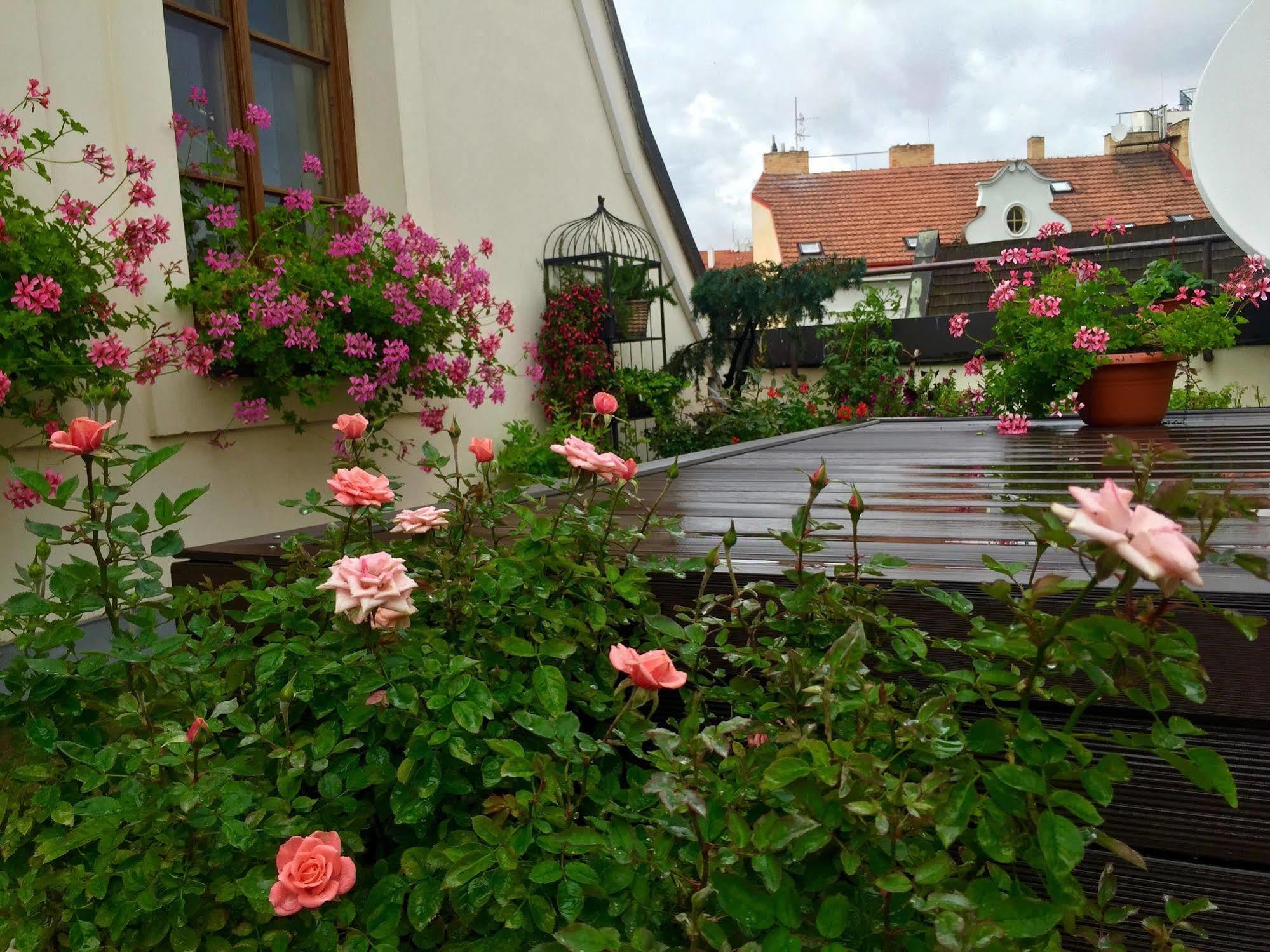 Old Town Boutique Apartments Prag Dış mekan fotoğraf